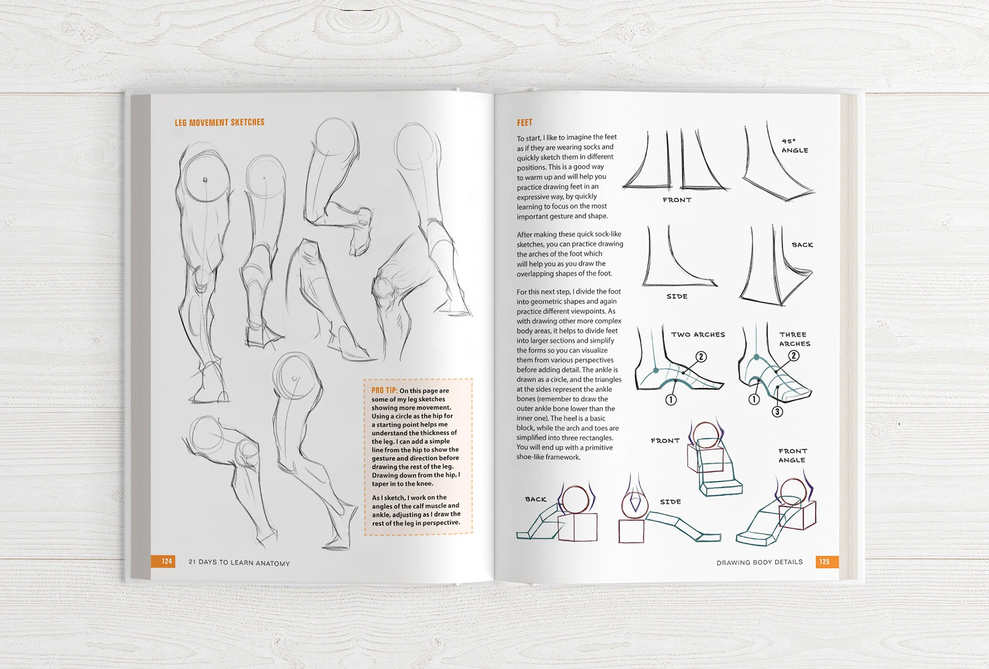 21 Days to Learn Anatomy - Image 16