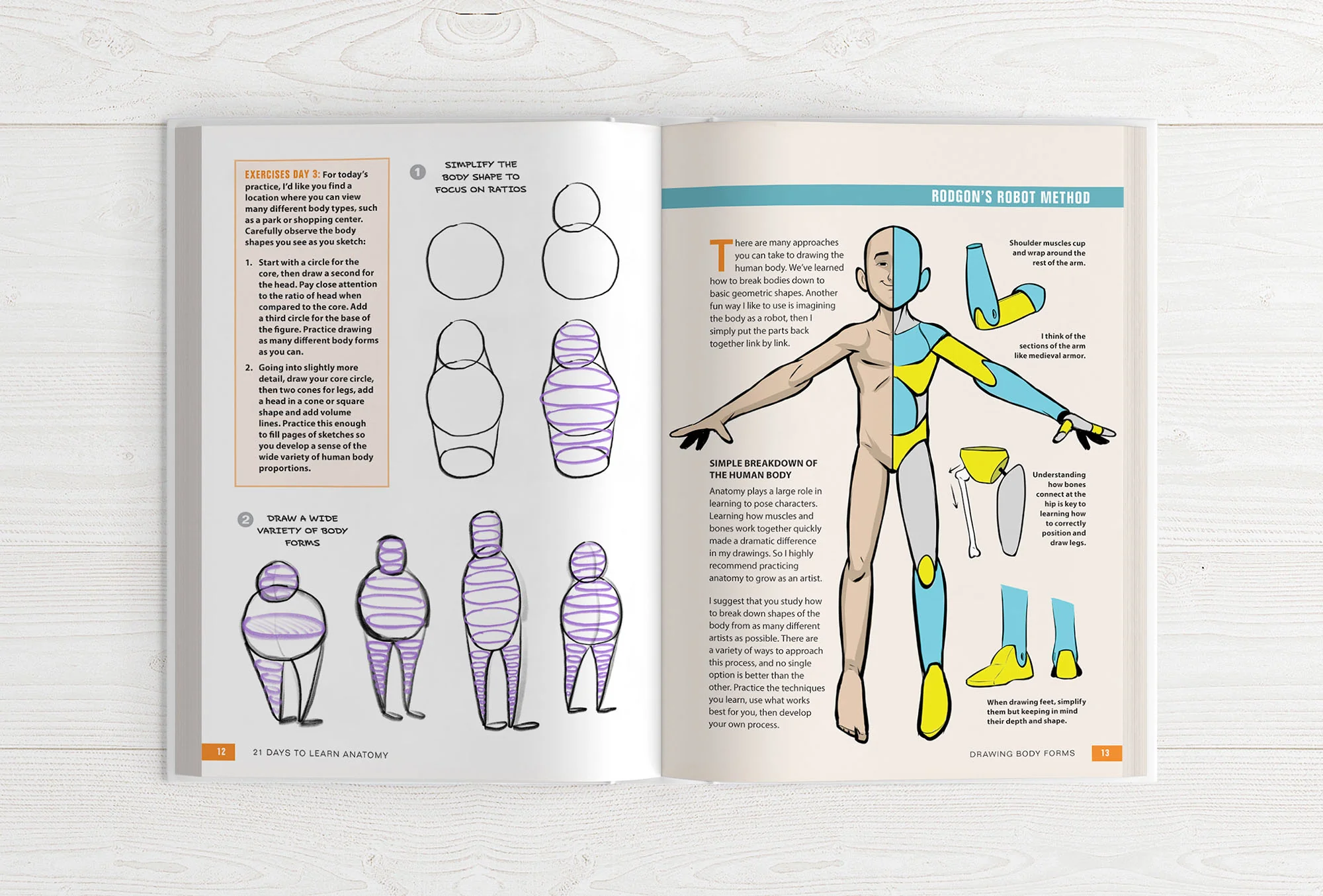 21 Days to Learn Anatomy - Image 5