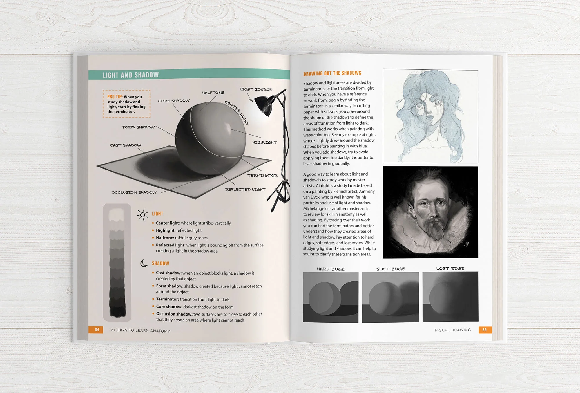 21 Days to Learn Anatomy - Image 12
