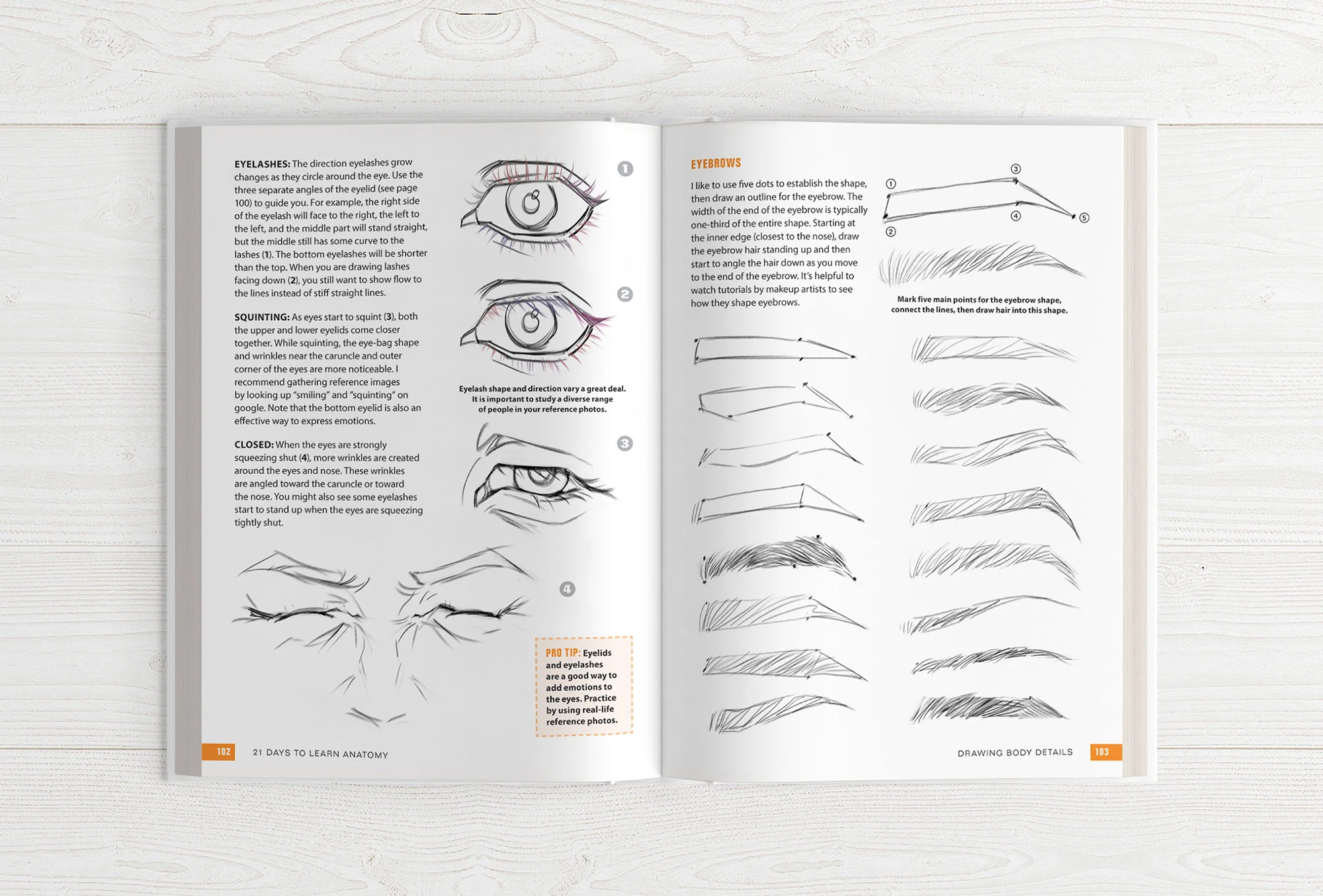 21 Days to Learn Anatomy - Image 15