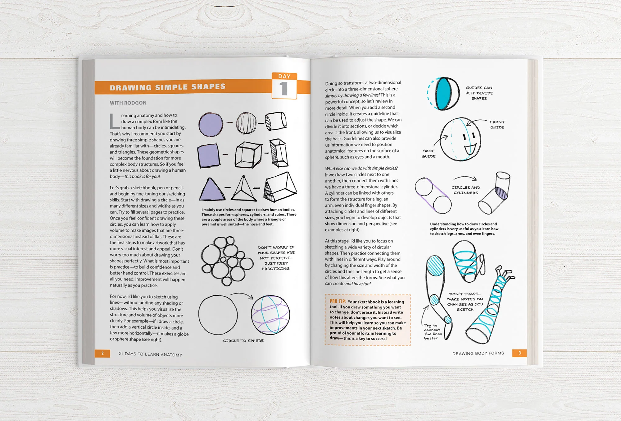 The Character Designer & 21 Days to Learn Anatomy (HARDCOVERS + EBOOKS) - Image 23