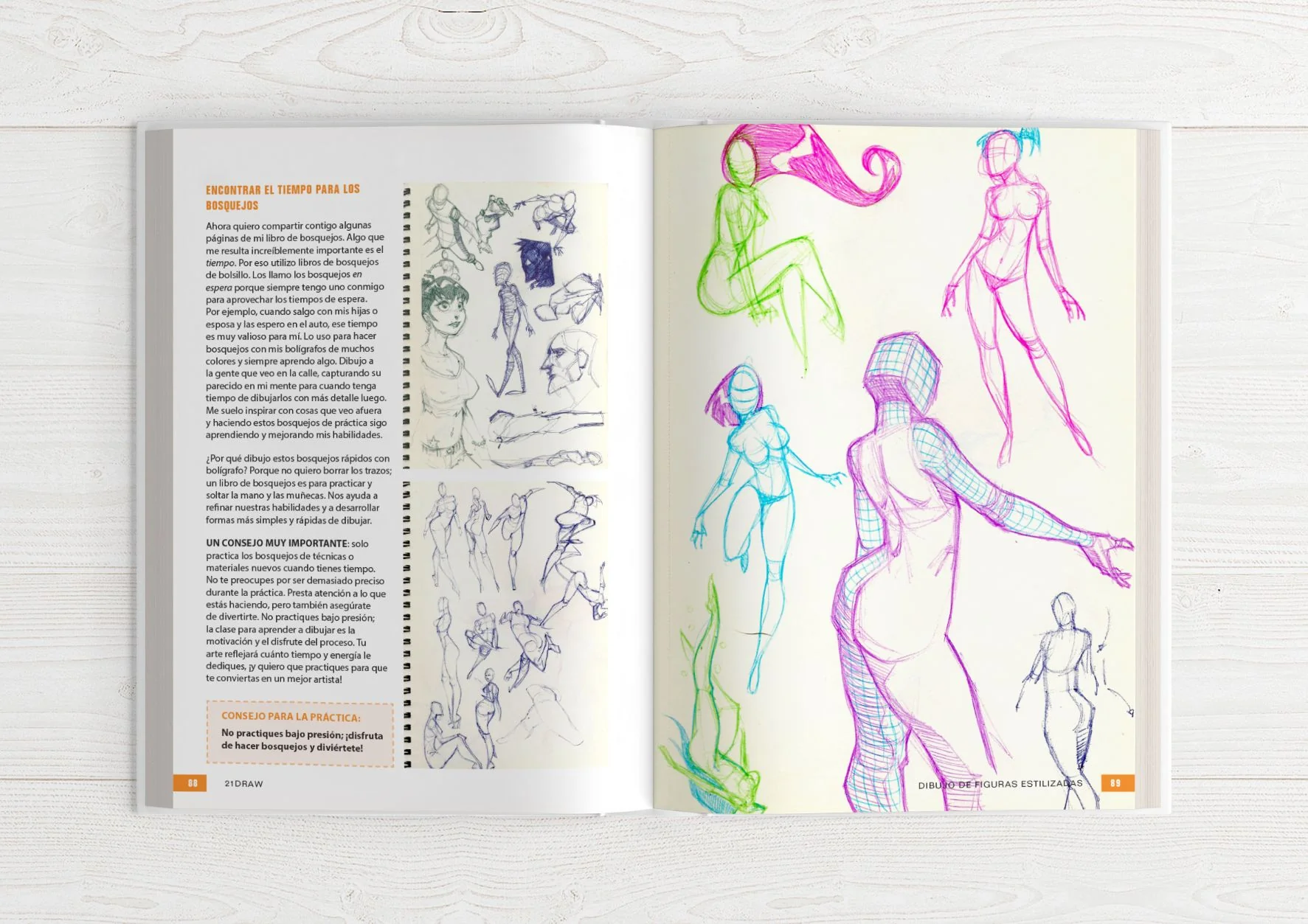 Guía del Ilustrador 2 - Image 11
