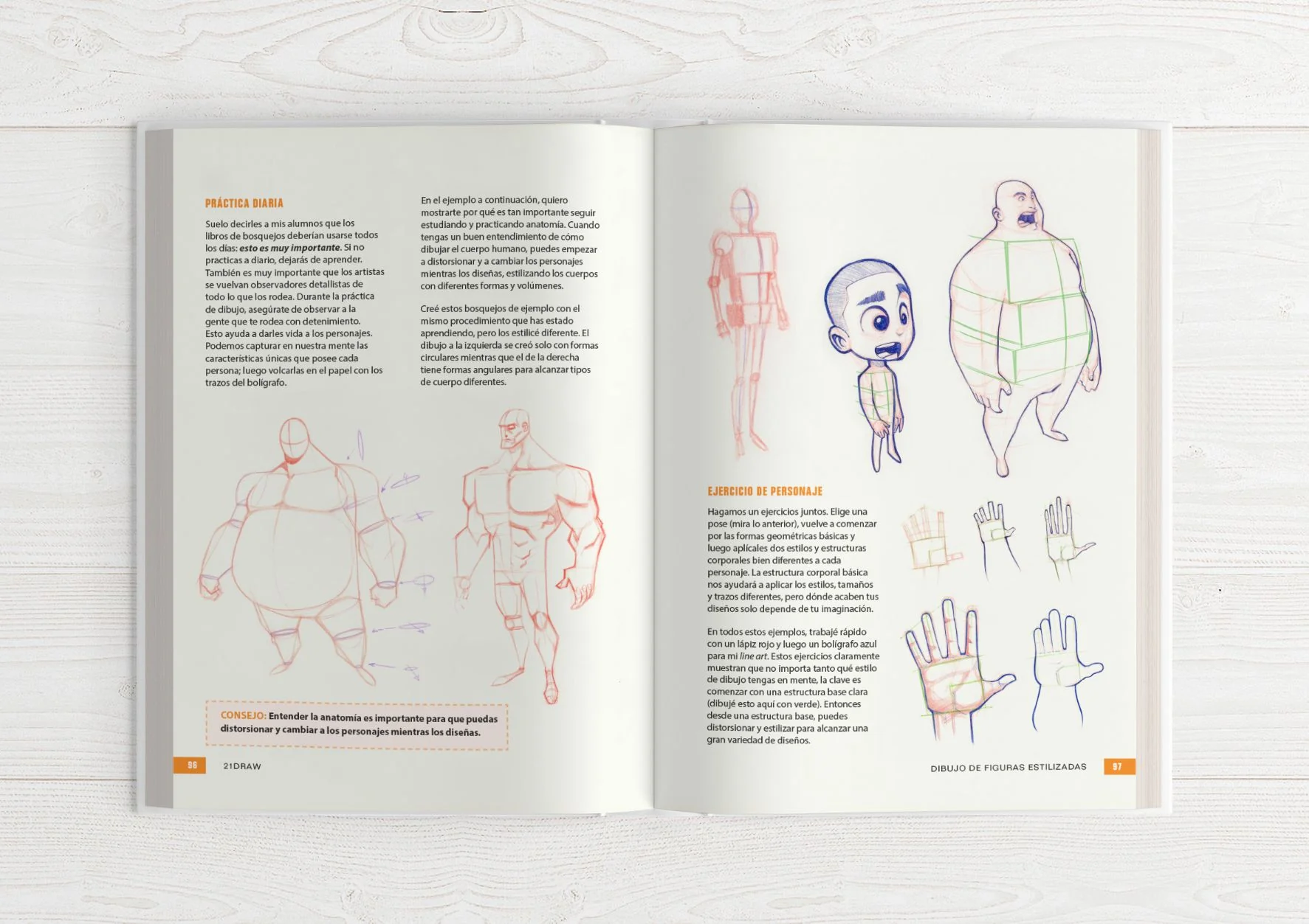 Guía del Ilustrador 2 - Image 12