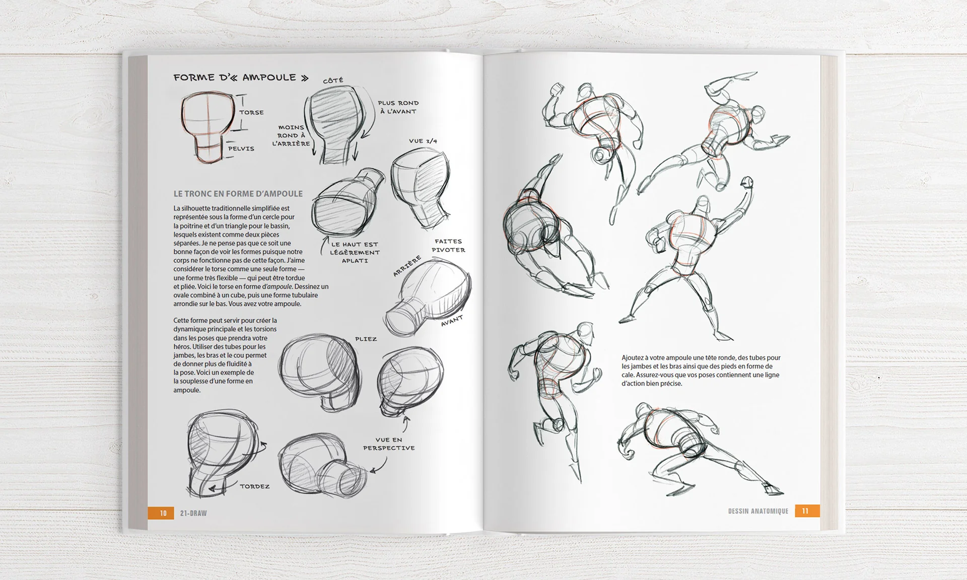 Le manuel de l'illustrateur 1 (Édition Spéciale) - Image 3