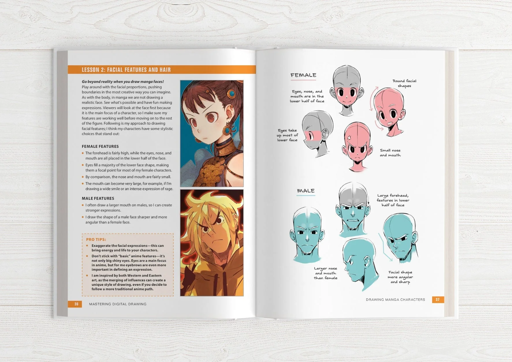 Mastering Digital Drawing - ES - Image 10