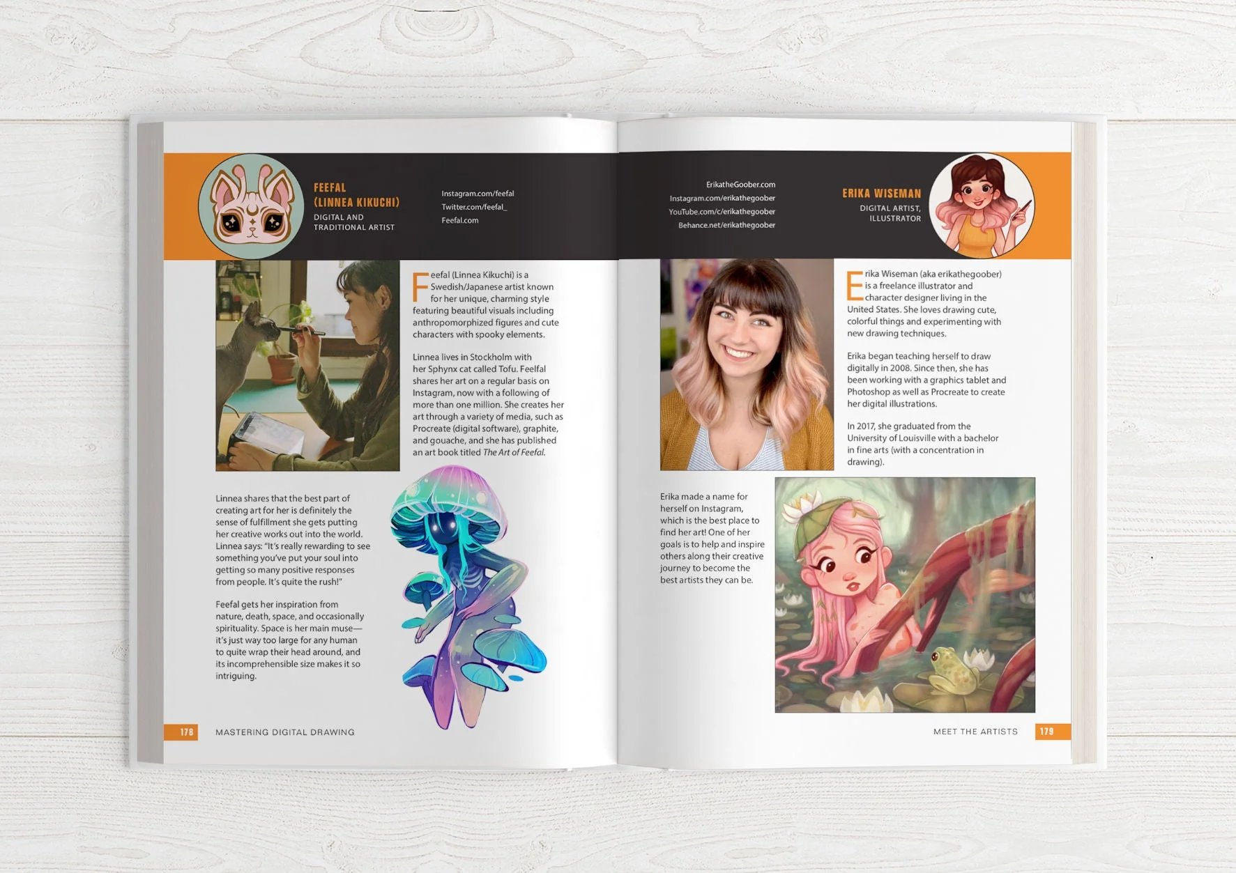 Mastering Digital Drawing - FR - Image 22