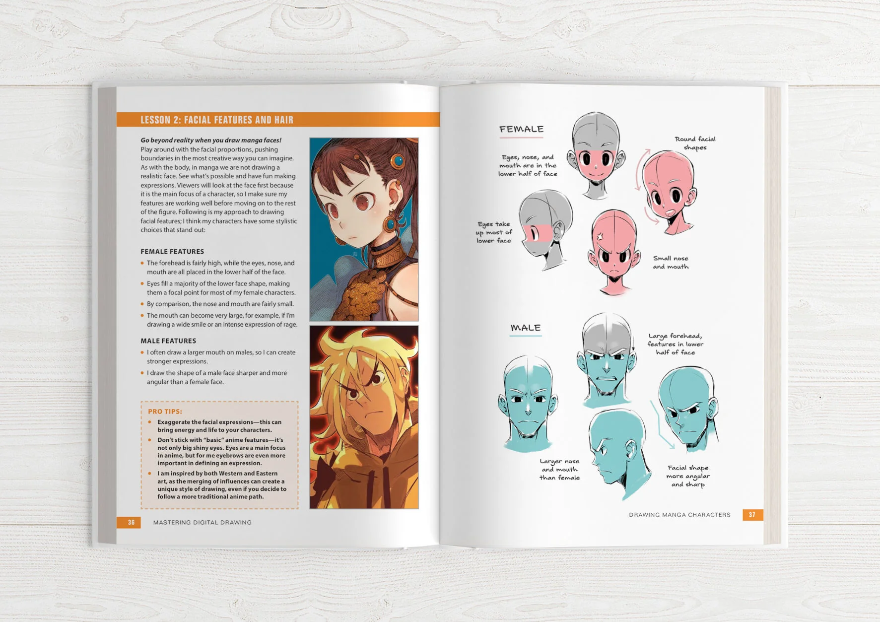 Mastering Digital Drawing & Illustrator's Guidebook 3 (HARDCOVER + EBOOKS) - Image 11