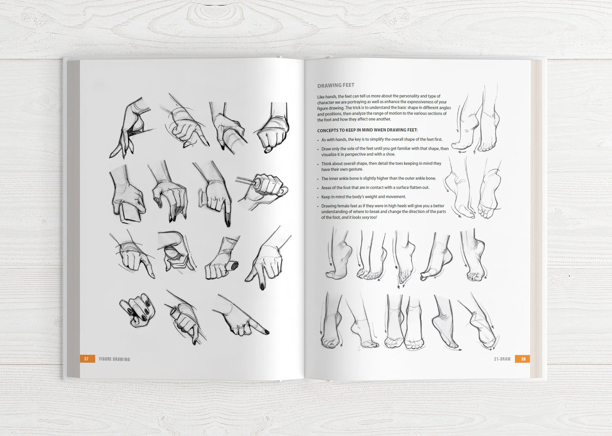 Illustrator's Guidebook 1 & 2 (HARDCOVER + EBOOKS) - Image 27